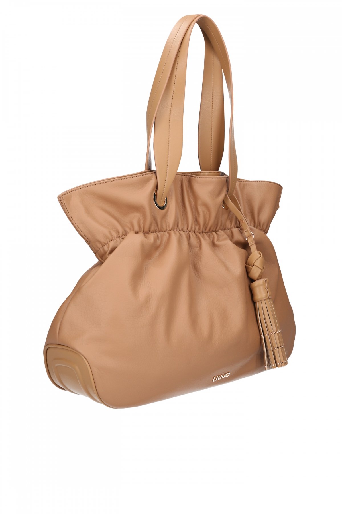 NF2021E0012camel3