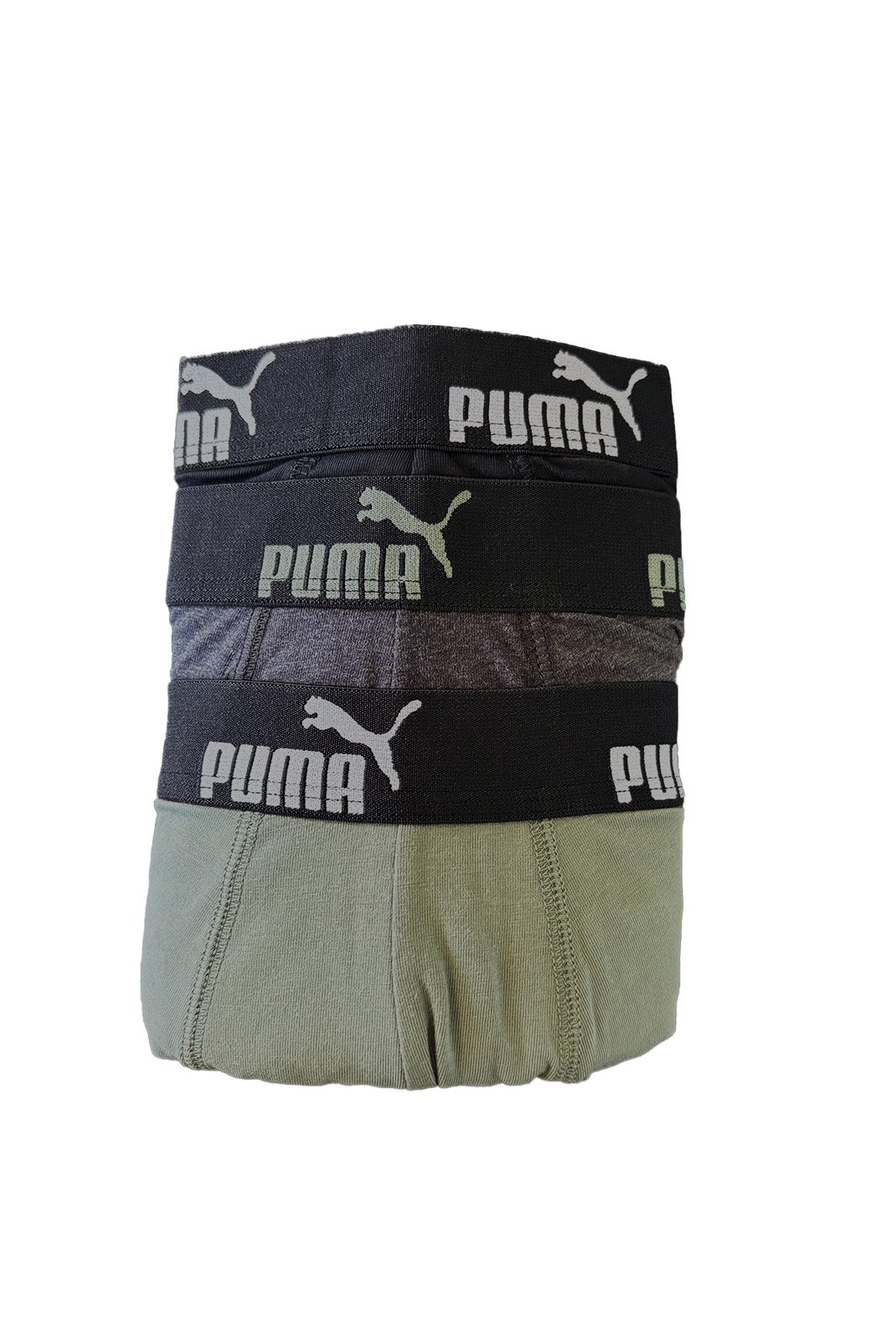 100003547 001 - Puma