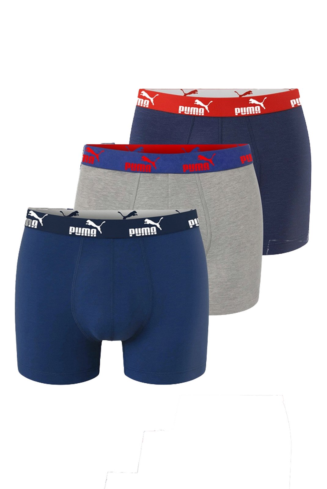 100003547 005 - Puma