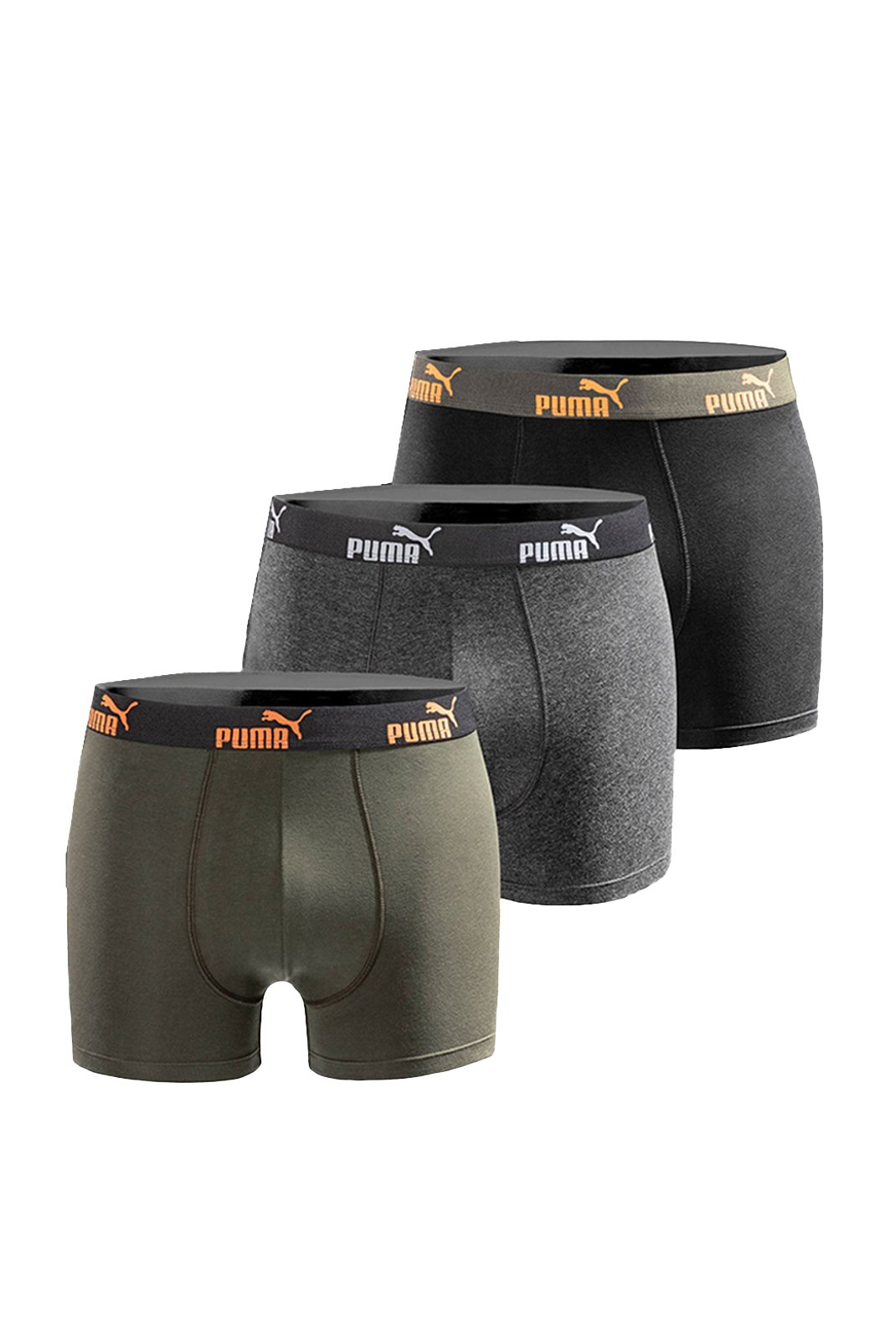 100003547 003 - Puma