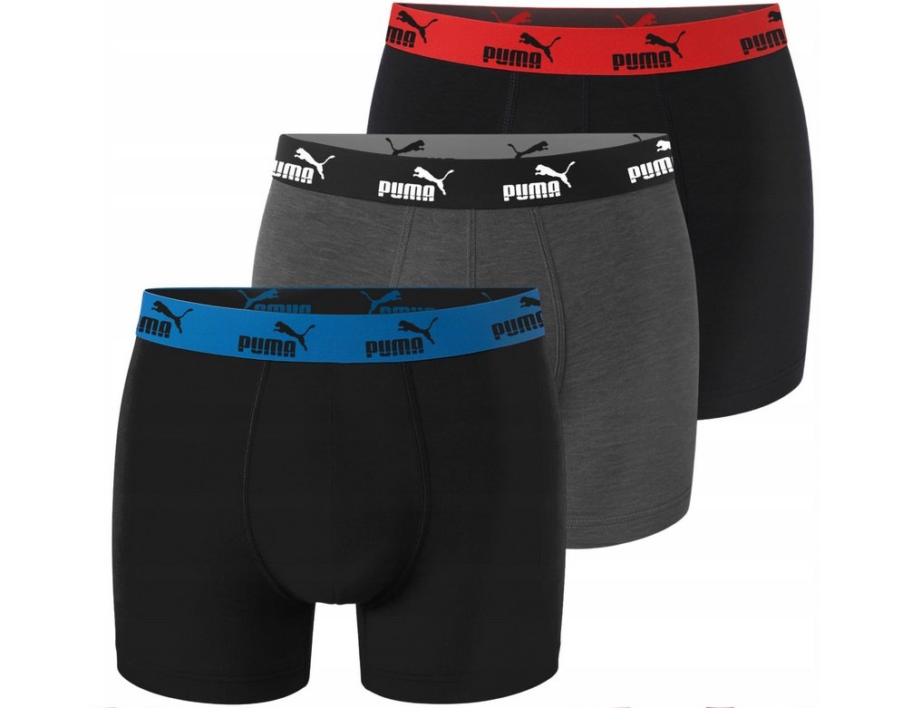 100003547 008 - Puma